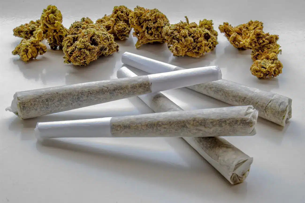 devils lettuce cannabis pre-rolls