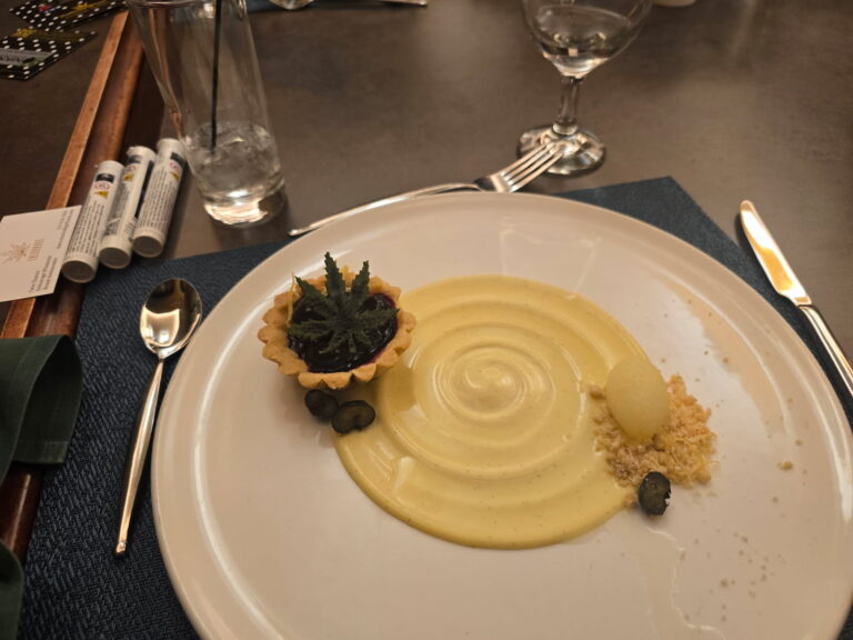 Suny Niagara Cannabis Conference